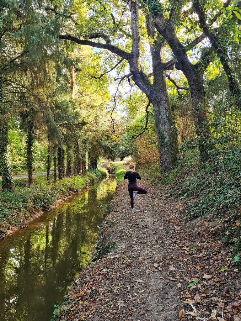 Accueil IMG 5219 1 768x1024